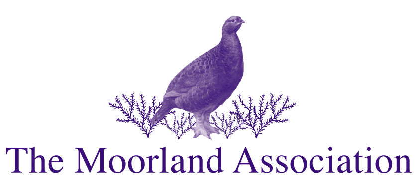 Glorious, for The Moorland Association