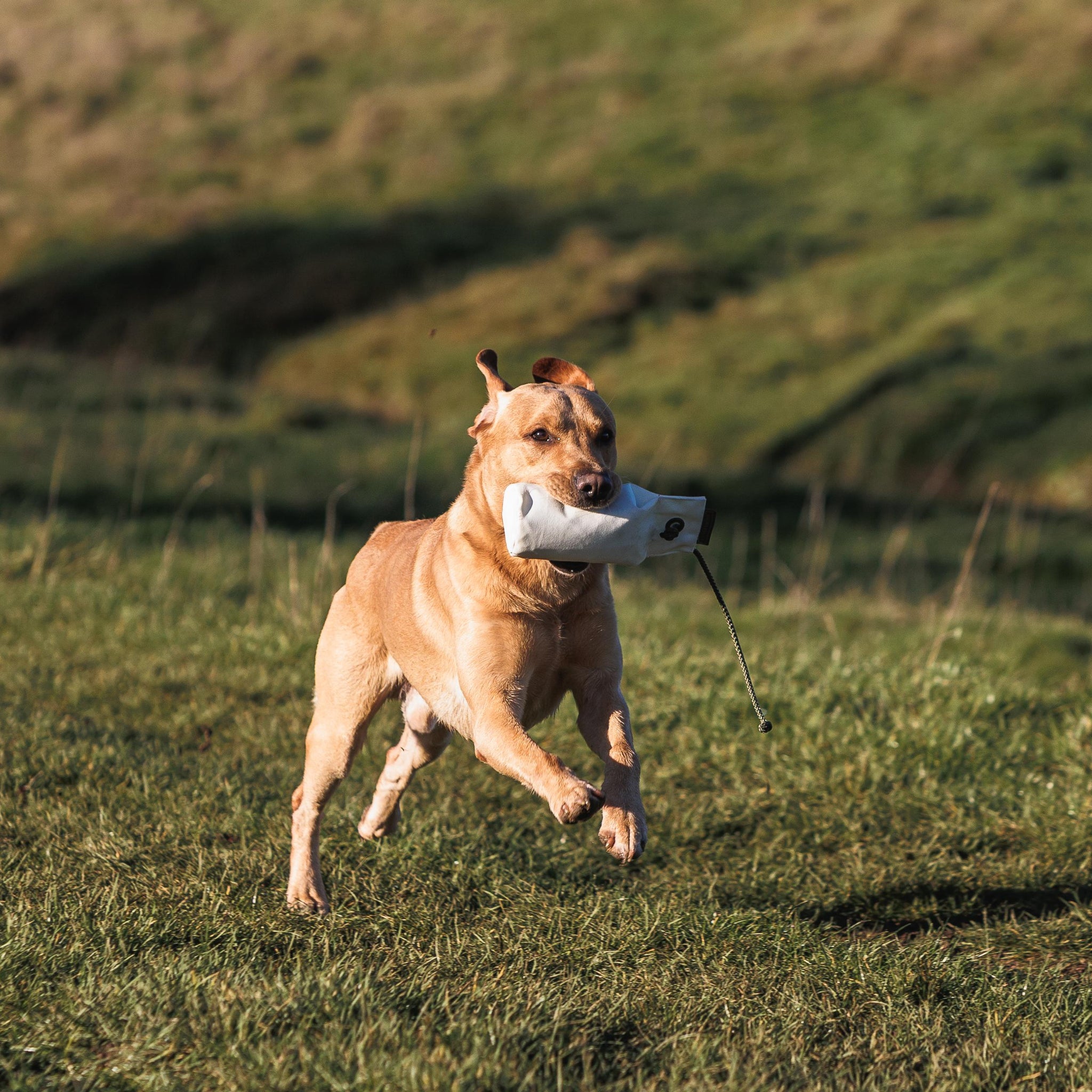 1lb Canvas Dummy - The Stubby
